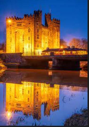 Bunratty Castle Gardens别墅 外观 照片